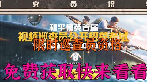 和平精英巡查员最新爆料,游戏内黑幕与整治行动全解析