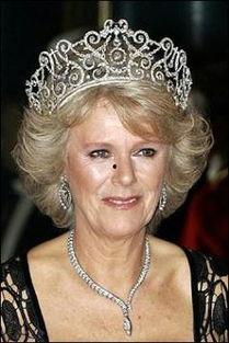 卡米拉最新爆料头条新闻,揭开王室秘闻背后的惊人真相！